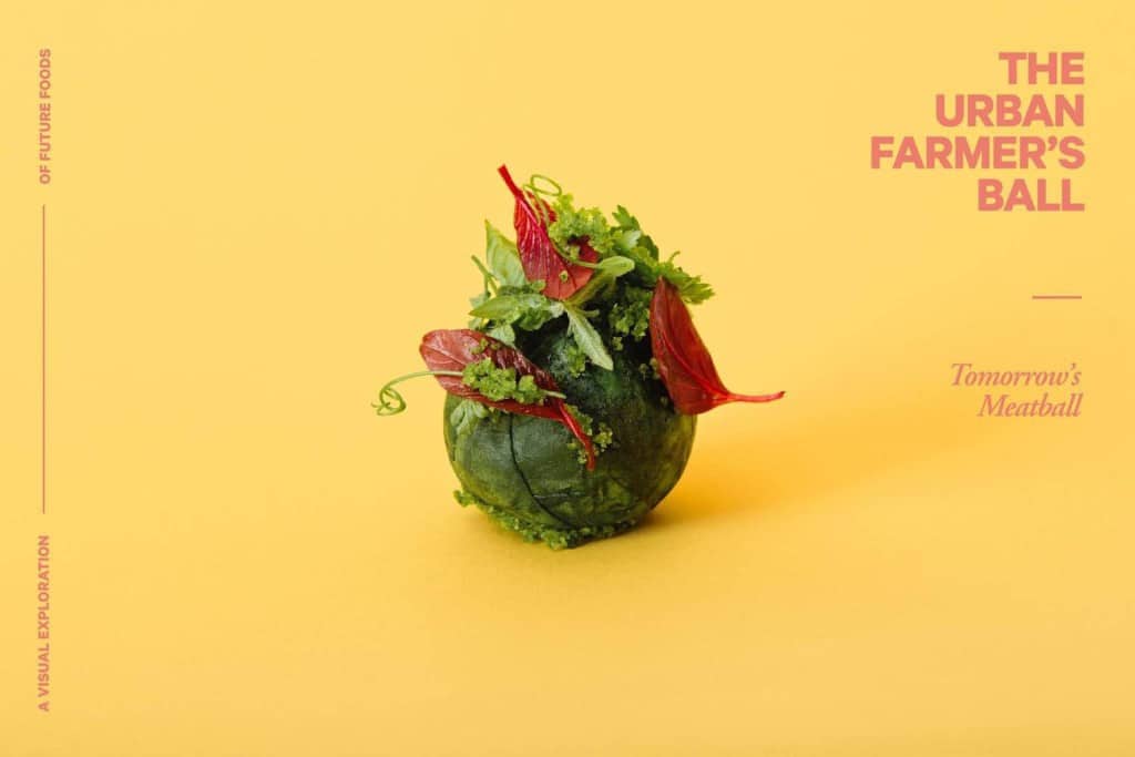 tomorrows-meatball-gehaktbal-toekomst-voedsel-foodporn-8